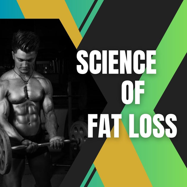 The Science of Fat Loss An Overview of How the Body Processes Calorie